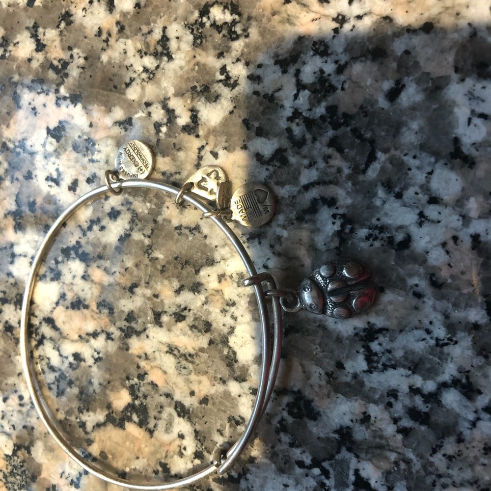 Alex and Ani bangle ladybug